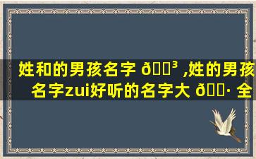 姓和的男孩名字 🐳 ,姓的男孩名字zui
好听的名字大 🌷 全